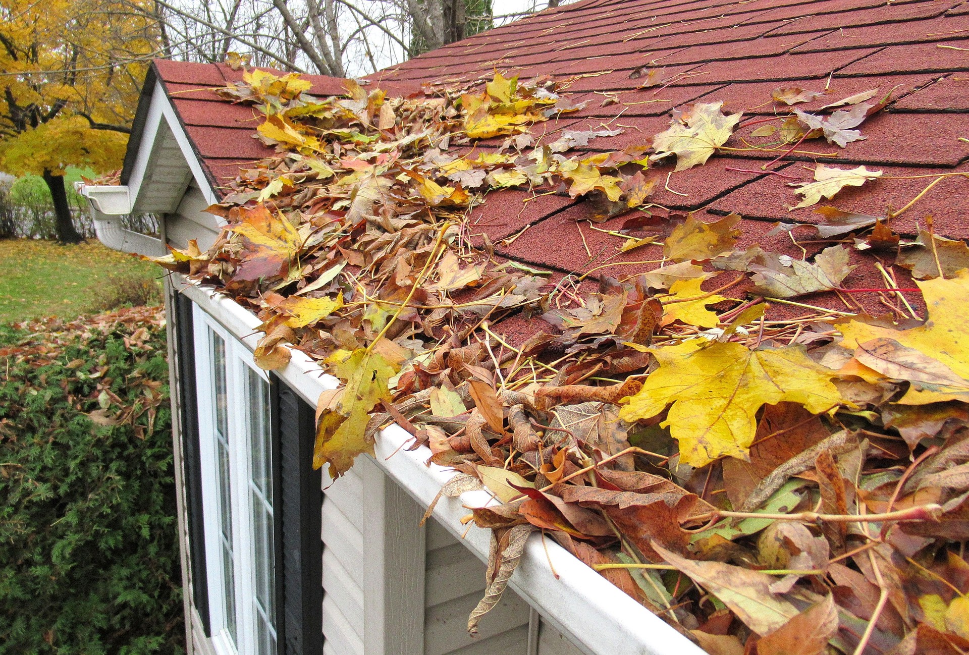 Nature, " Home Maintenance, Clearing Gutters "