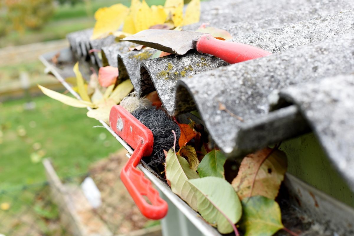 Leaves in eaves. Cleaning gutter blocked with autumn leaves.